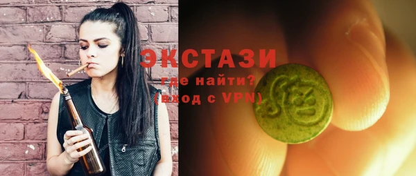индика Дмитриев