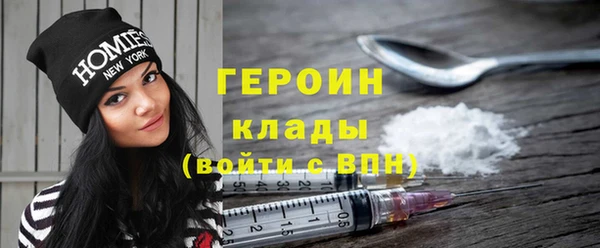 индика Дмитриев