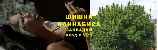 Альфа ПВП Дмитровск