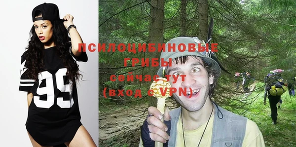 альфа пвп Нея