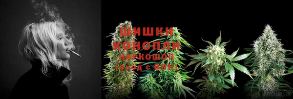 индика Дмитриев