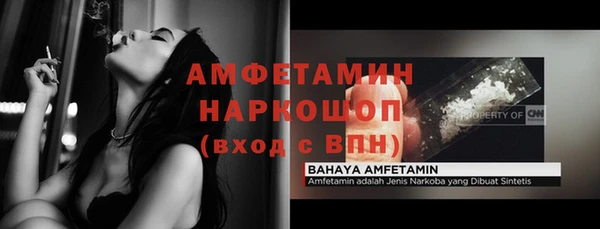 СК Дмитров