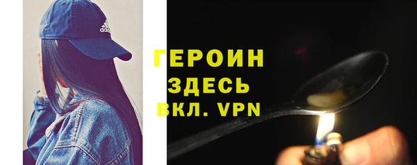 индика Дмитриев