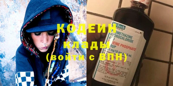 шишки Новозыбков