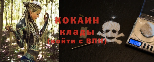 амф Новодвинск