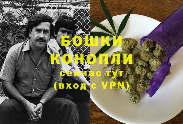 амф Новодвинск