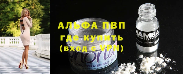 СК Дмитров