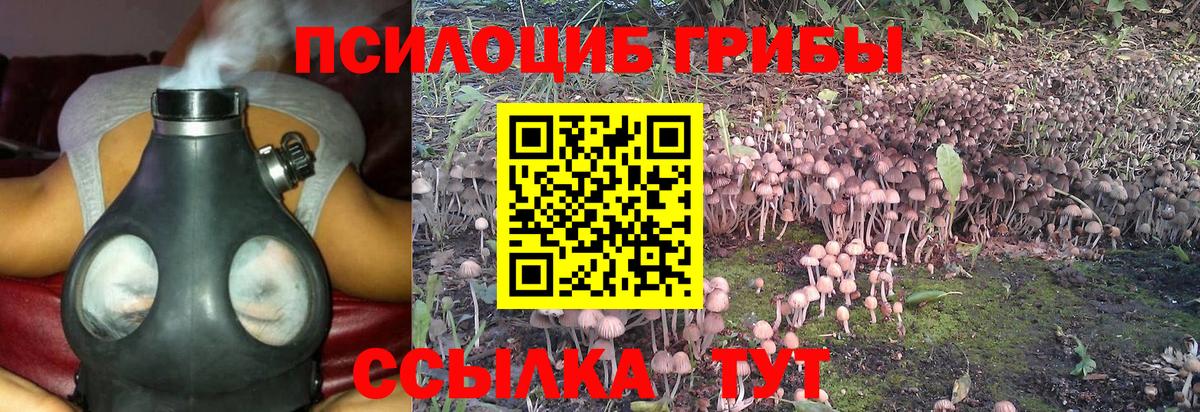 Галлюциногенные грибы Psilocybe  Галлюциногенные грибы мухоморы  Вход с VPN  Острогожск 