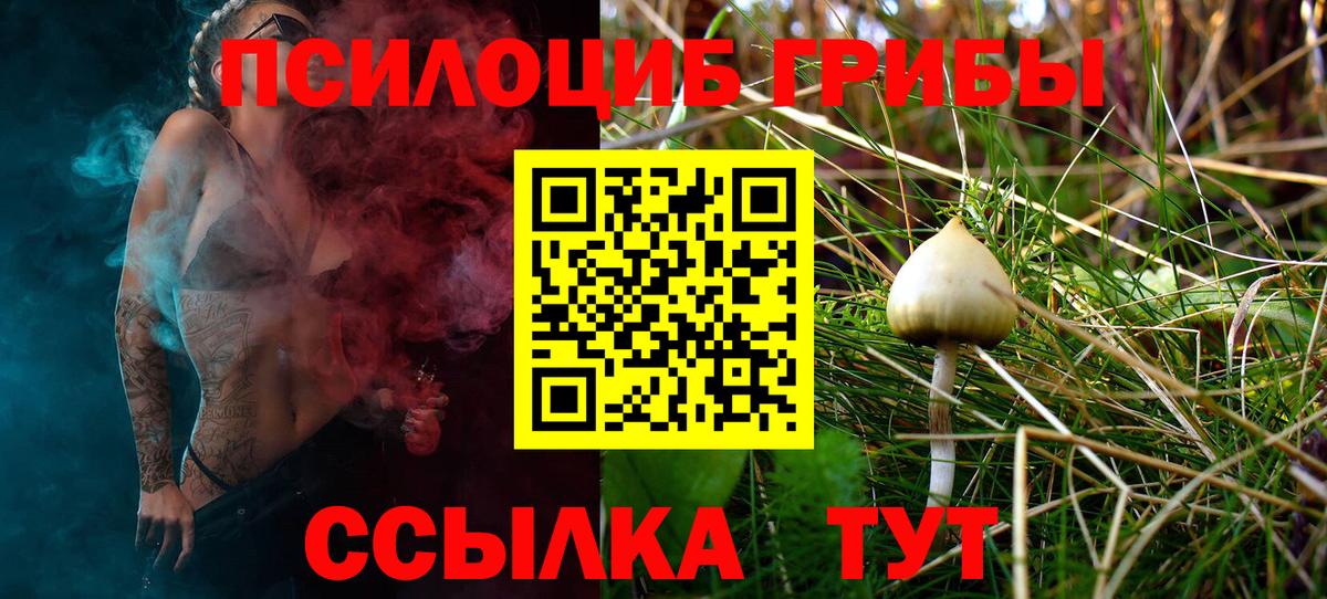 Галлюциногенные грибы MAGIC MUSHROOMS Острогожск