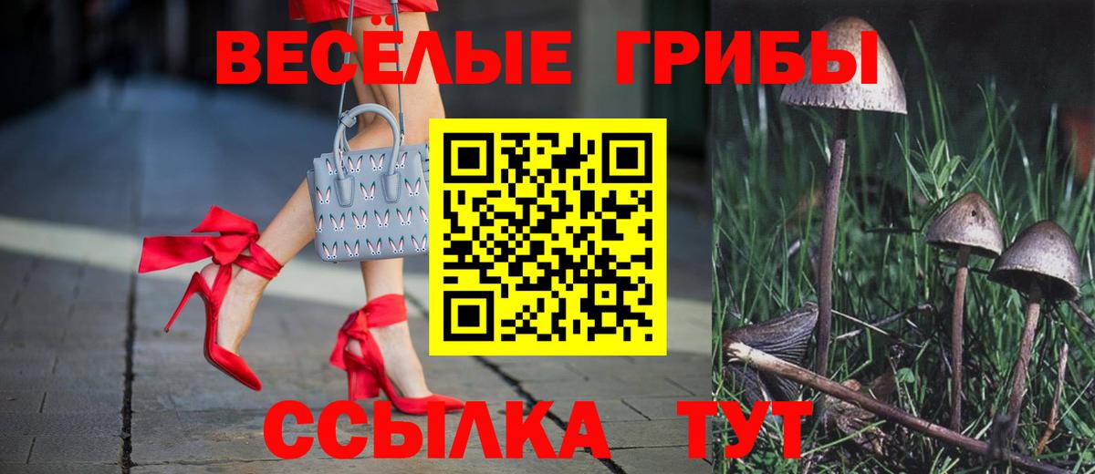 Псилоцибиновые грибы мухоморы Острогожск